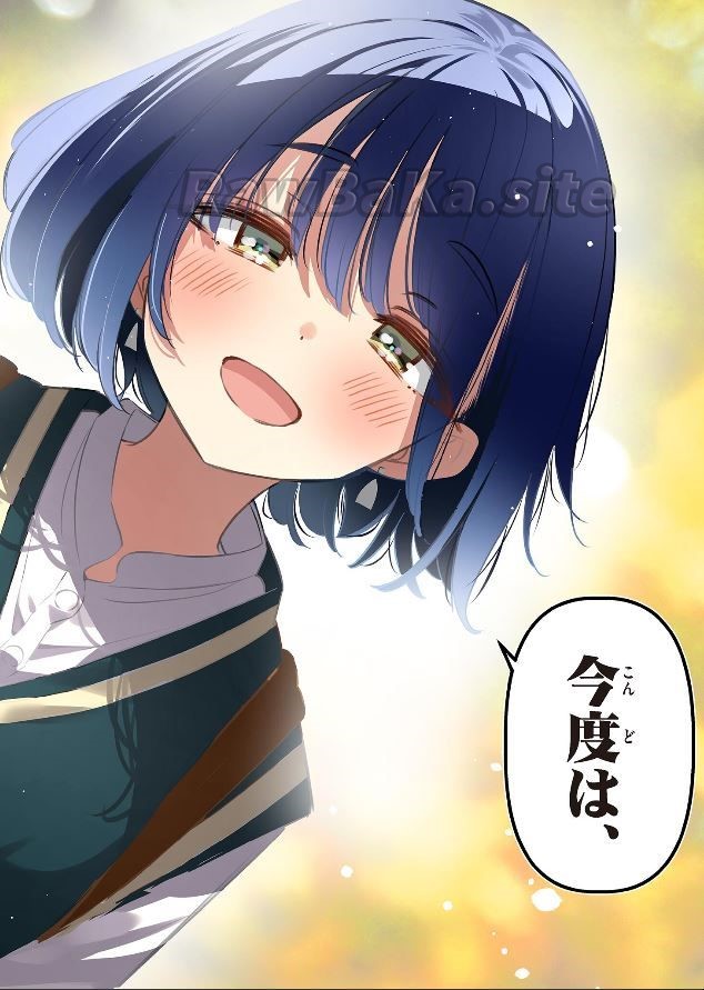 12 ページ目