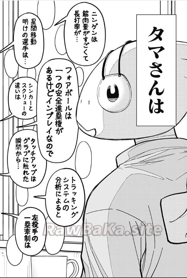 30 ページ目