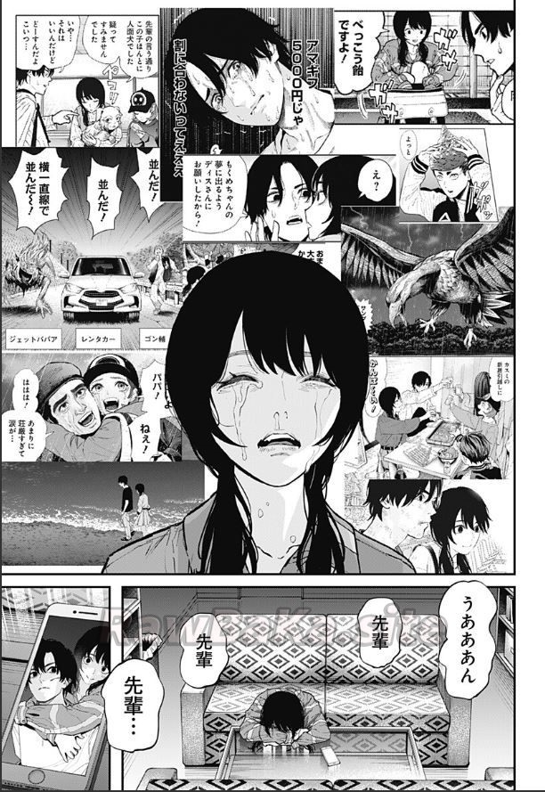 17 ページ目