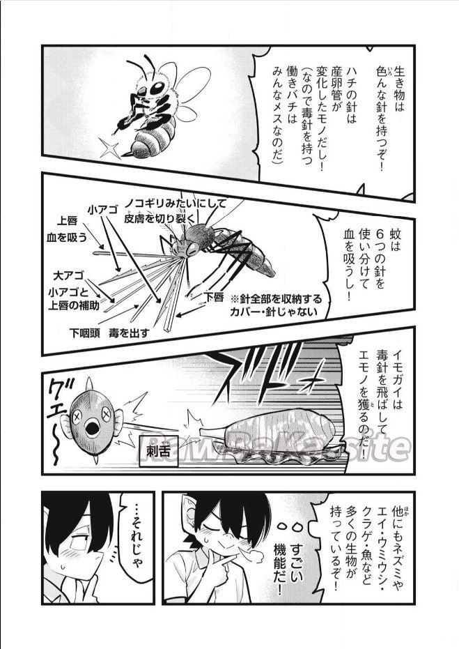 3 ページ目