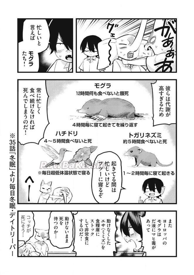 2 ページ目