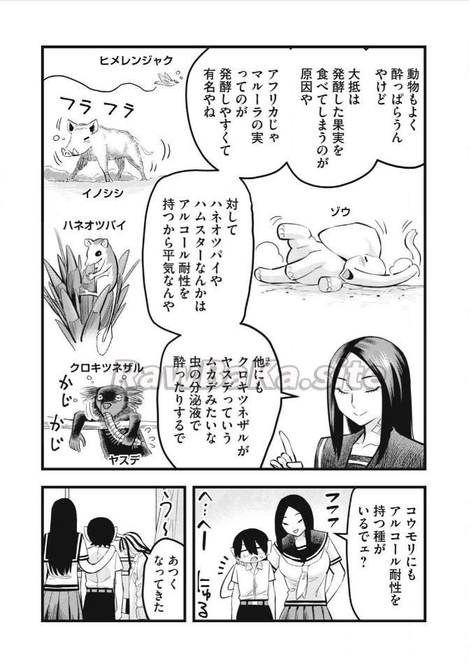 3 ページ目