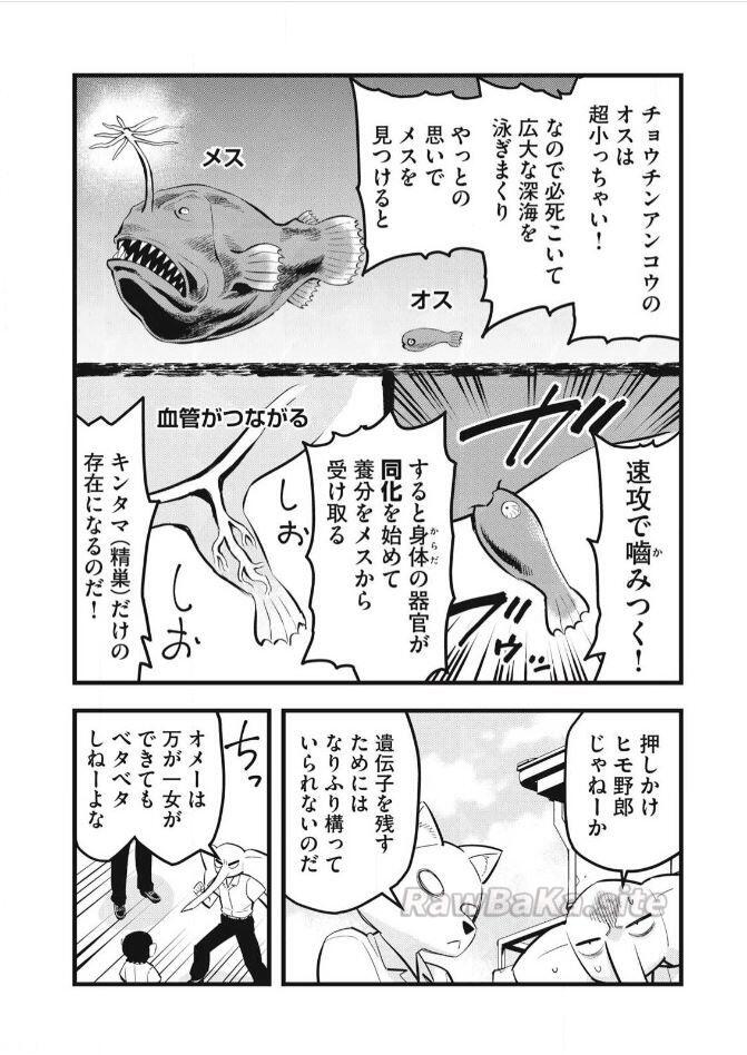 2 ページ目