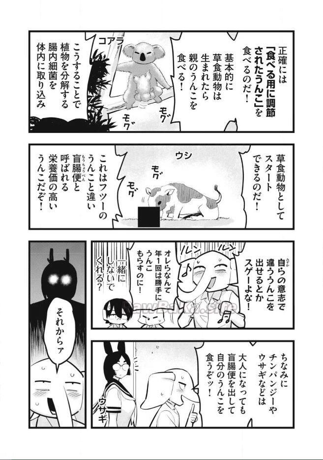 4 ページ目